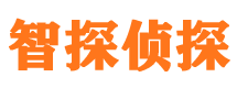 武邑市侦探